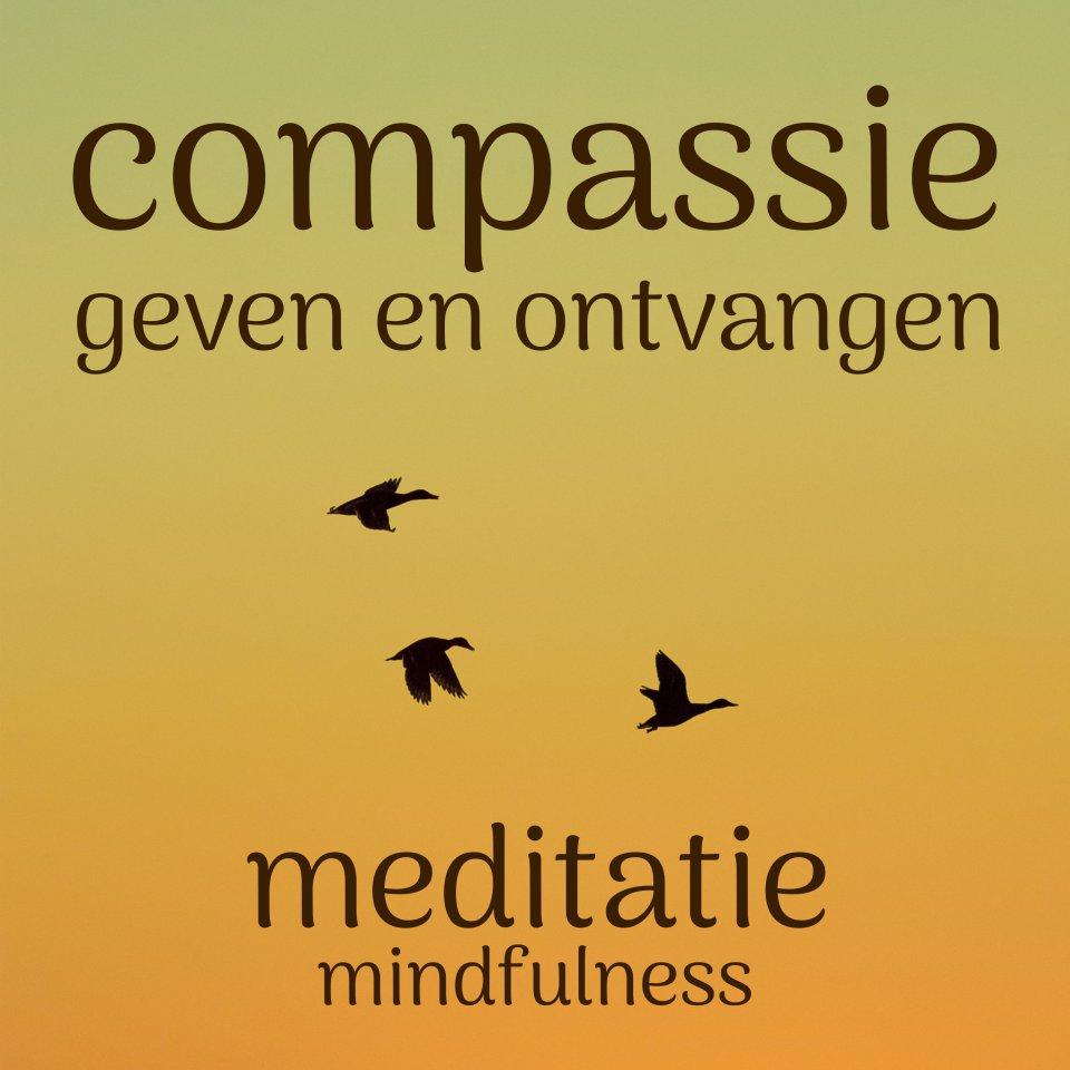 Omslagfoto van Compassie geven en ontvangen: mindfulness meditatie