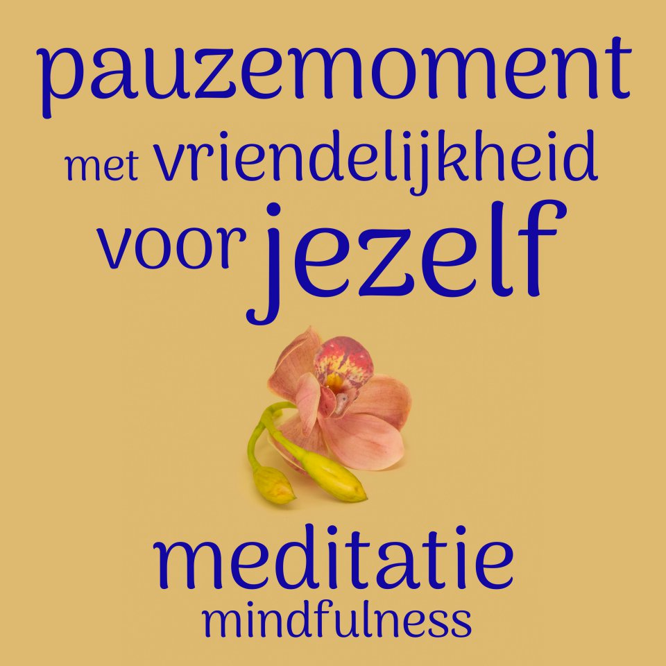Omslagfoto van Pauzemoment met vriendelijkheid voor jezelf: mindfulness meditatie