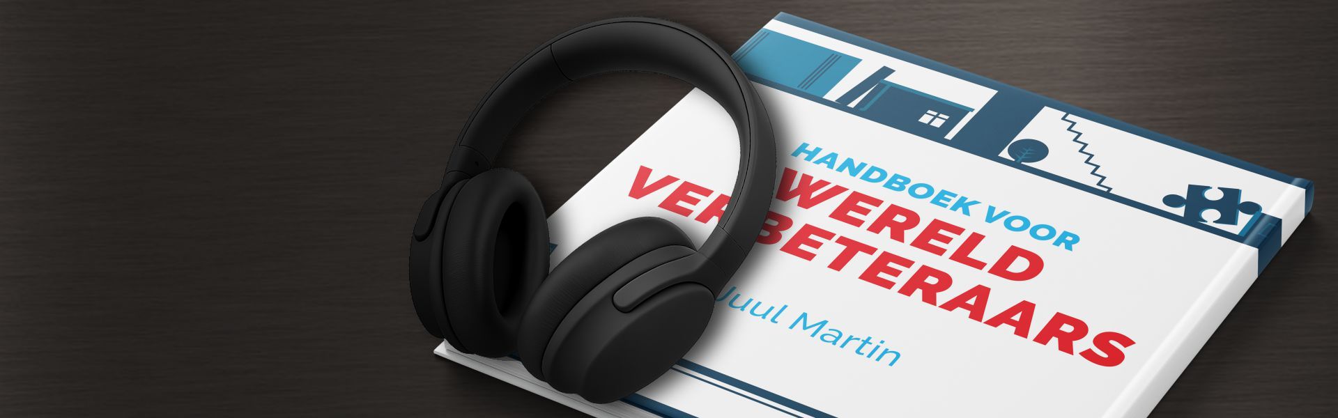 Handboek voor wereldverbeteraars: hoe je als praktische idealist je dromen kunt waarmaken